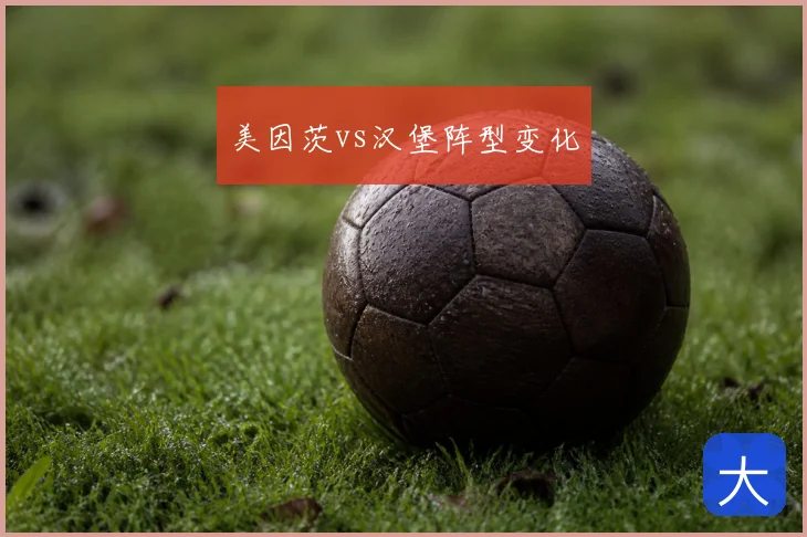 美因茨vs汉堡阵型变化